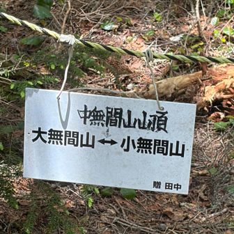 中無間山登頂👍🏻

展望なし

この後ルートミス

左に行きましょう