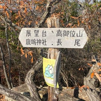 もう少し頑張ります