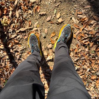 復路もあと少しって所で右足首を捻挫。
3週間前も同じ部位を捻挫した。
1週間もあれば痛みは引くと思うけど、今日から治すのに全力を出す。