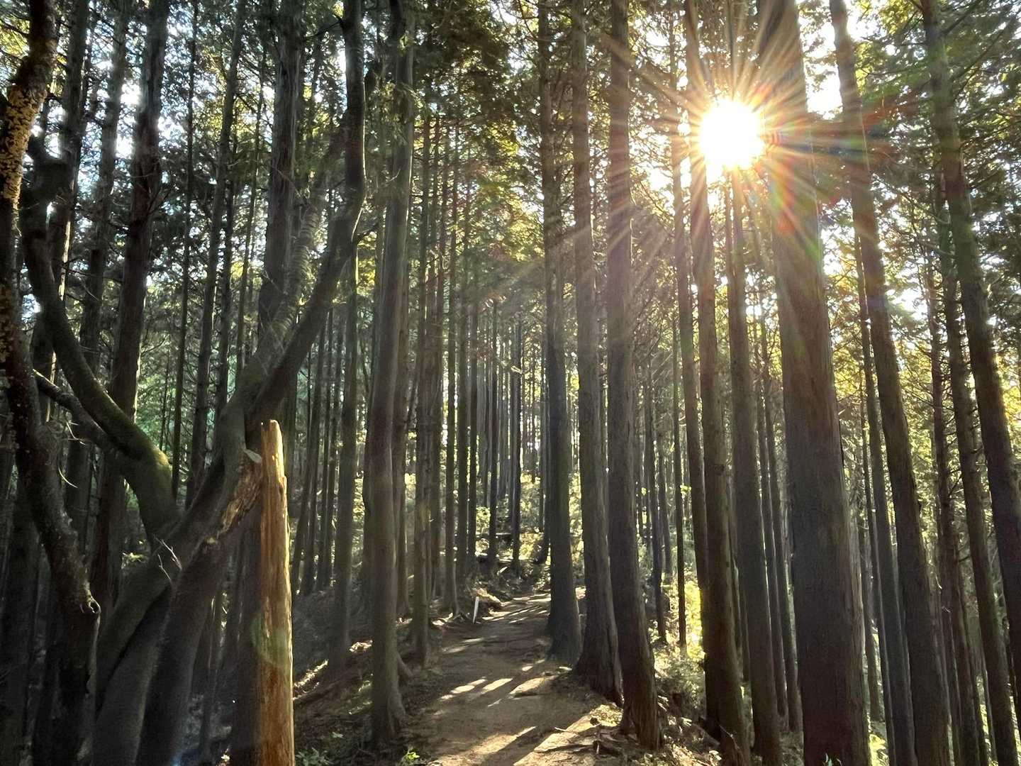 気持ち良い道でした🙆