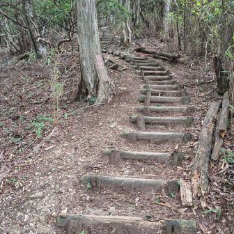 木段登って。。