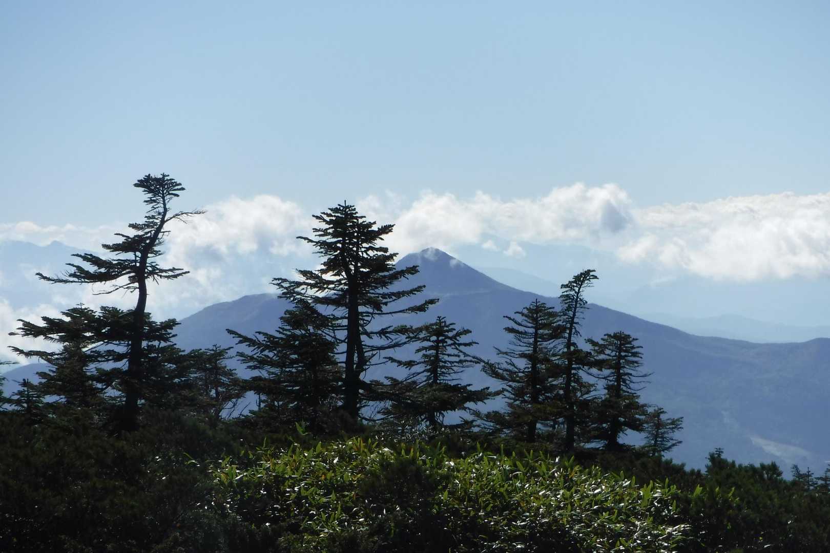 山麓駅-ロープウェイ終点-西大巓-西吾妻山 往復コースの写真