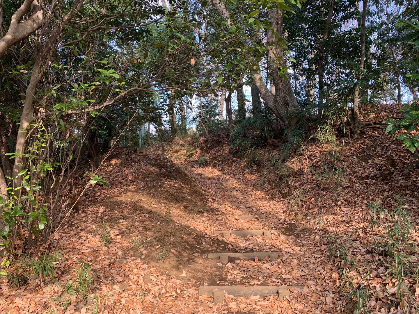 登る