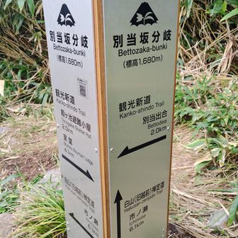 下りが長すぎて飽きてきたところでようやく別当坂分岐
ここから苔ってて滑りやすい岩だらけの激下りで疲れた