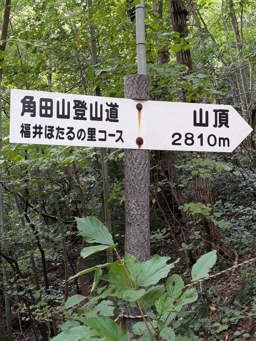 角田山の山頂までは行かないです。