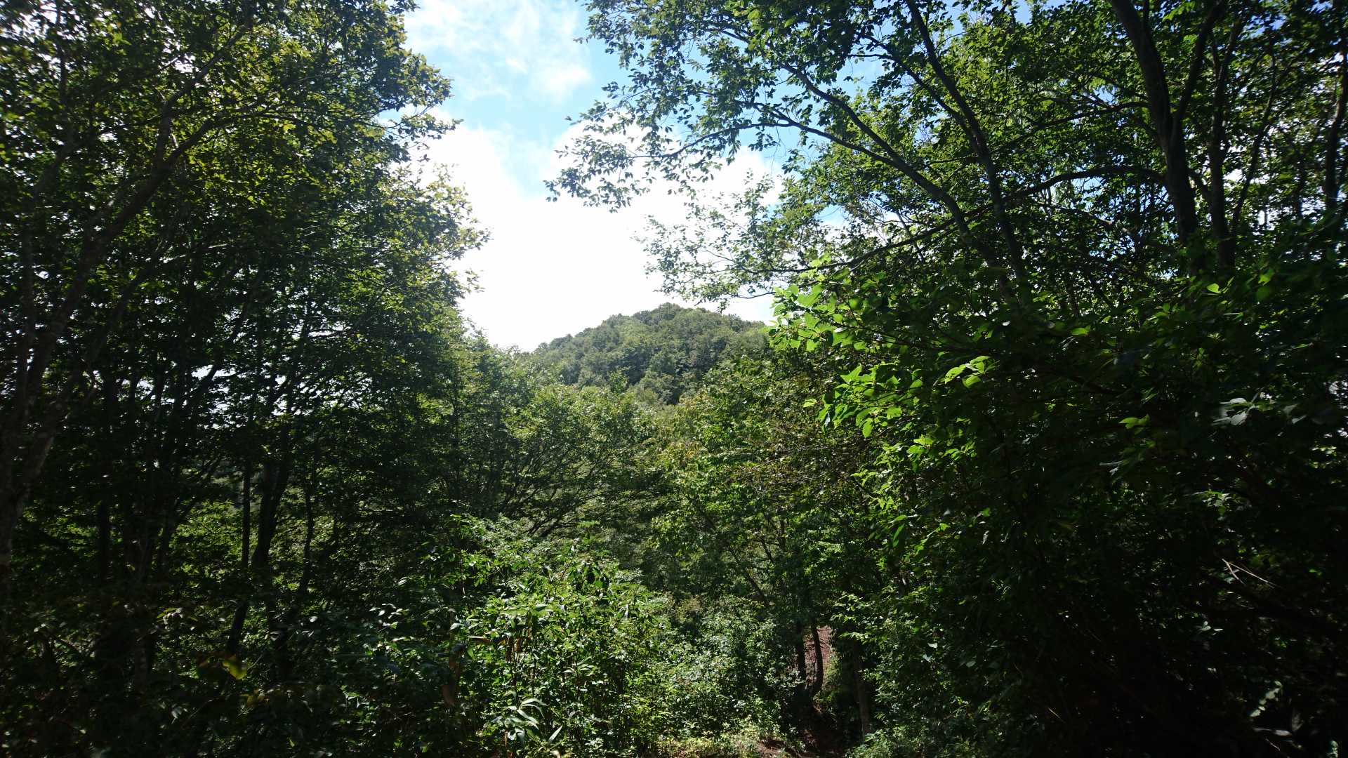 正面に斑尾山の山頂をとらえた。