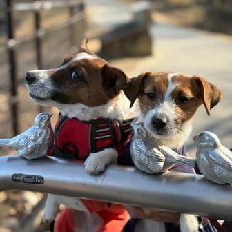 ふたりっぴき（ぞの）