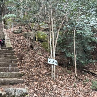 八犬岩とくぅーちゃん
