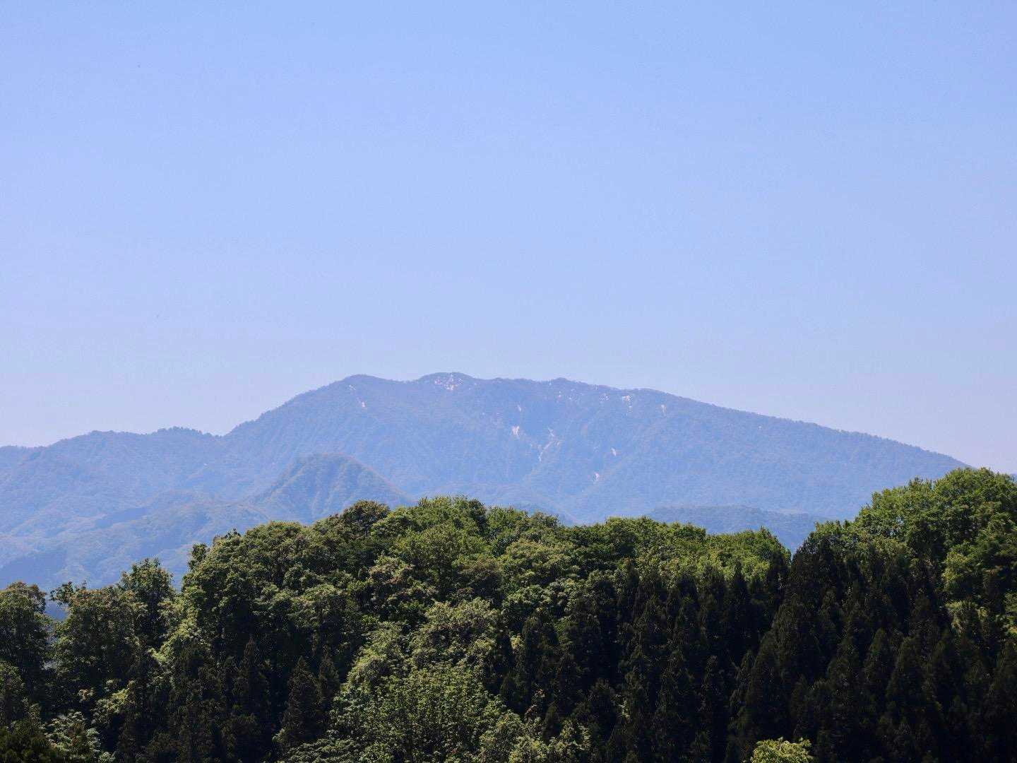 博士山でしょうか～🫣