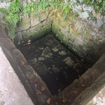 ガー(井戸・湧き水)