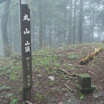 丸山（1098m） 登頂
二等三角点あり
多摩百山にも指定されています