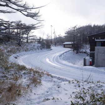 車坂峠まで下りてきた