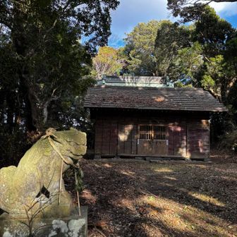 山頂
社の向こうに昔は下りられたけど、台風でめちゃくちゃになって今は道がなくなってると地元のご隠居が言ってました
でも行っちゃうのがいるんだよー。だから見つけると止めてんの。って

へえー、道が無いのに？そんな人がいるんですね

アタクシ？もちろんピストンで戻りますとも。
道がないところ歩くような人ってどんな人でしょね🤫←え