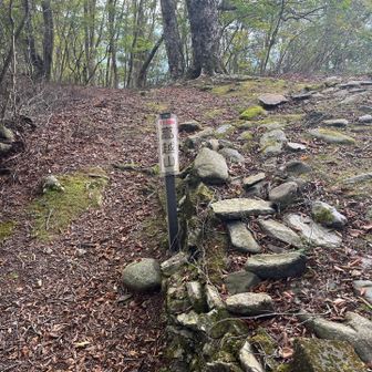 こっちがYAMAPのマークと合ってたポイントかな？