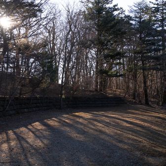 途中で林道に逸れます
ここまでくれば、あとは駐車場まで緩ーい下りで楽々です。
