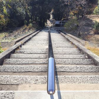 手摺にへばりつきながら登りきる、息切れ💥(笑)
下から約3分くらいでした