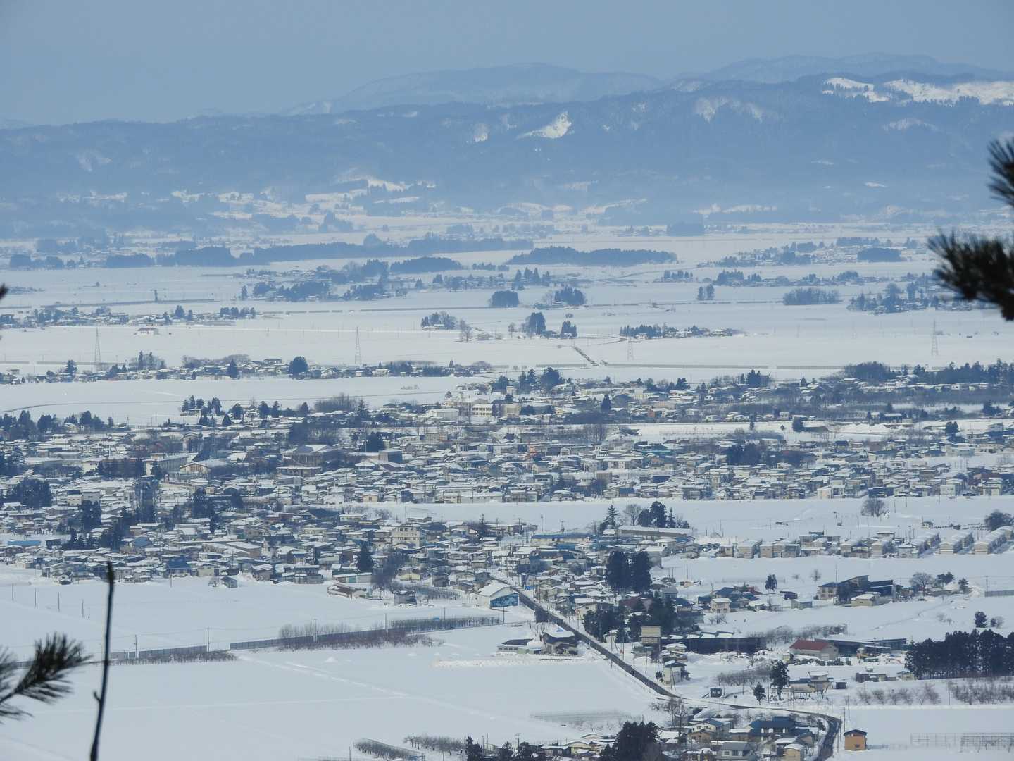 真人山 往復コースの写真