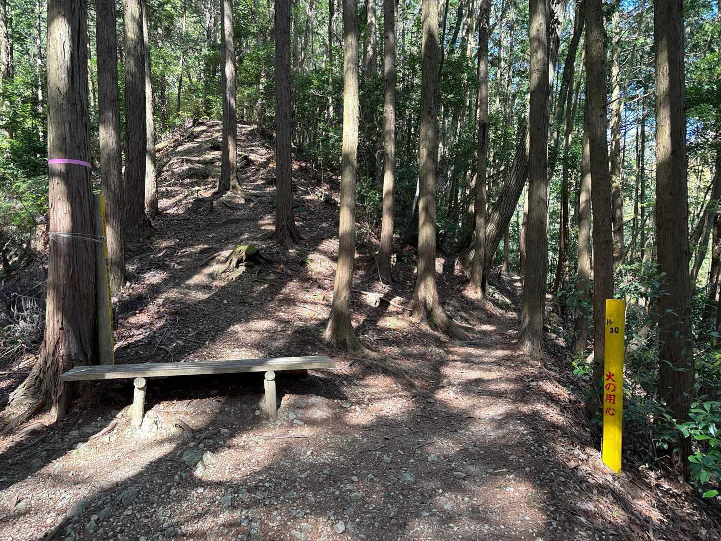 急坂を下りてきて、(船底分岐)に戻ってきて、
八ヶ丸山へ向かいます⤴️
