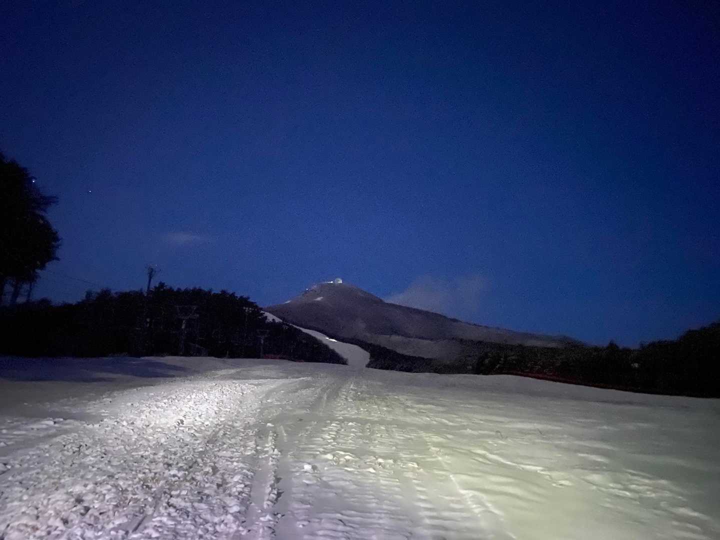 今年はスッキリ見えてる