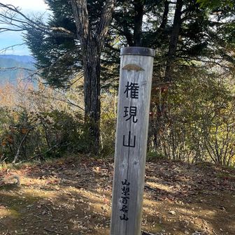 山梨百名山&日本百低山
61座目登頂！
だーれもいません

