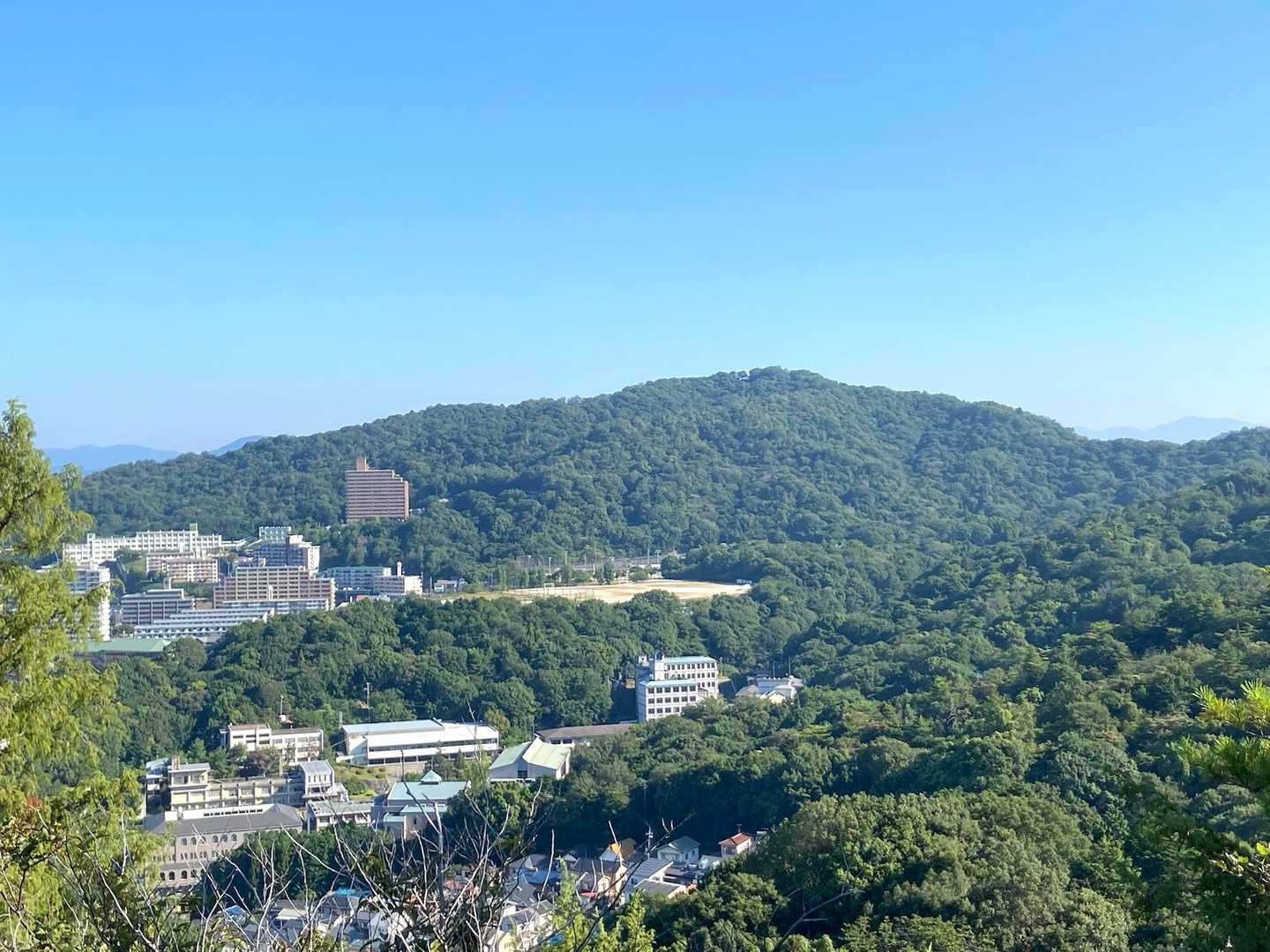 尾長山-牛田山 往復コースの写真