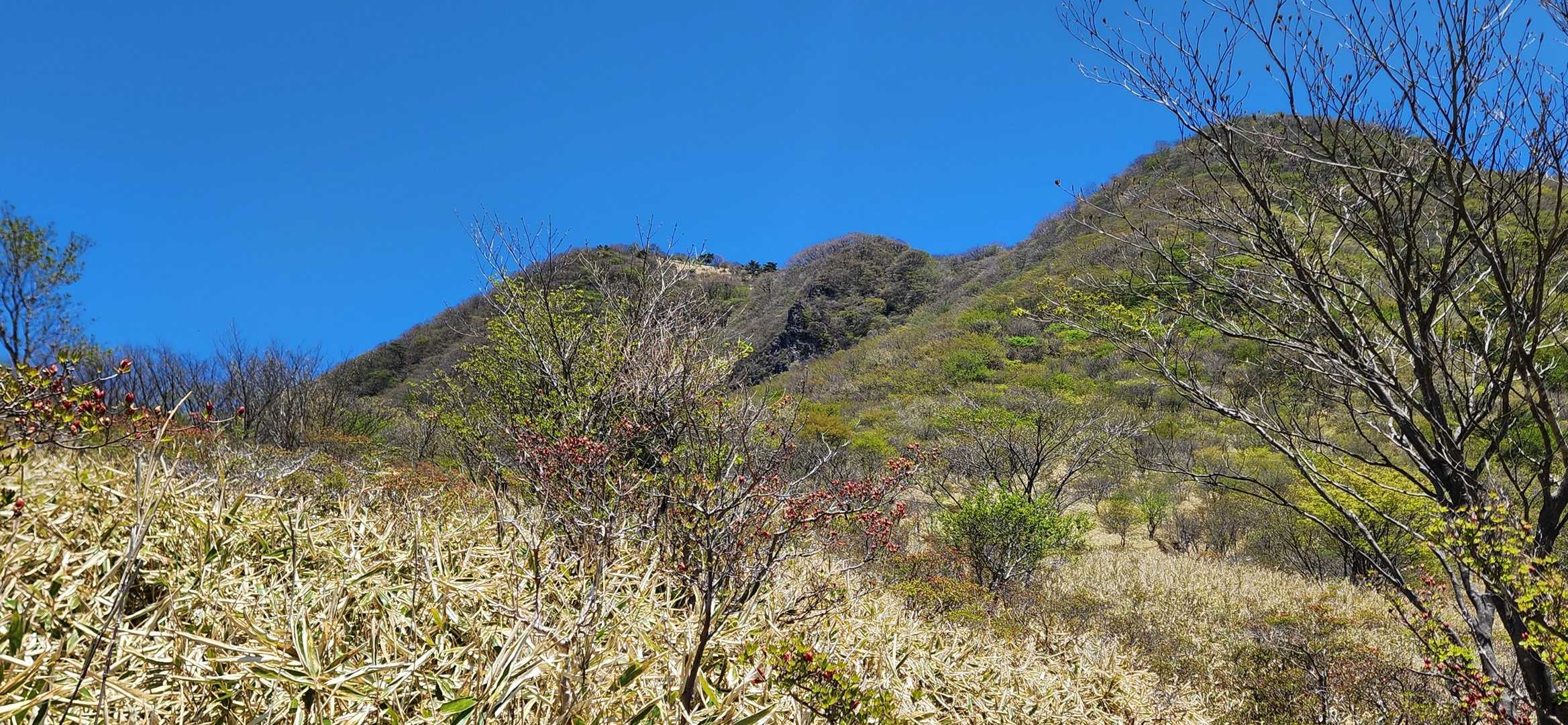 鍋割山登山口-鍋割山-火起山 往復コースの写真