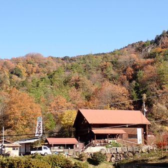 「万葉の森」まで上がって来た!!