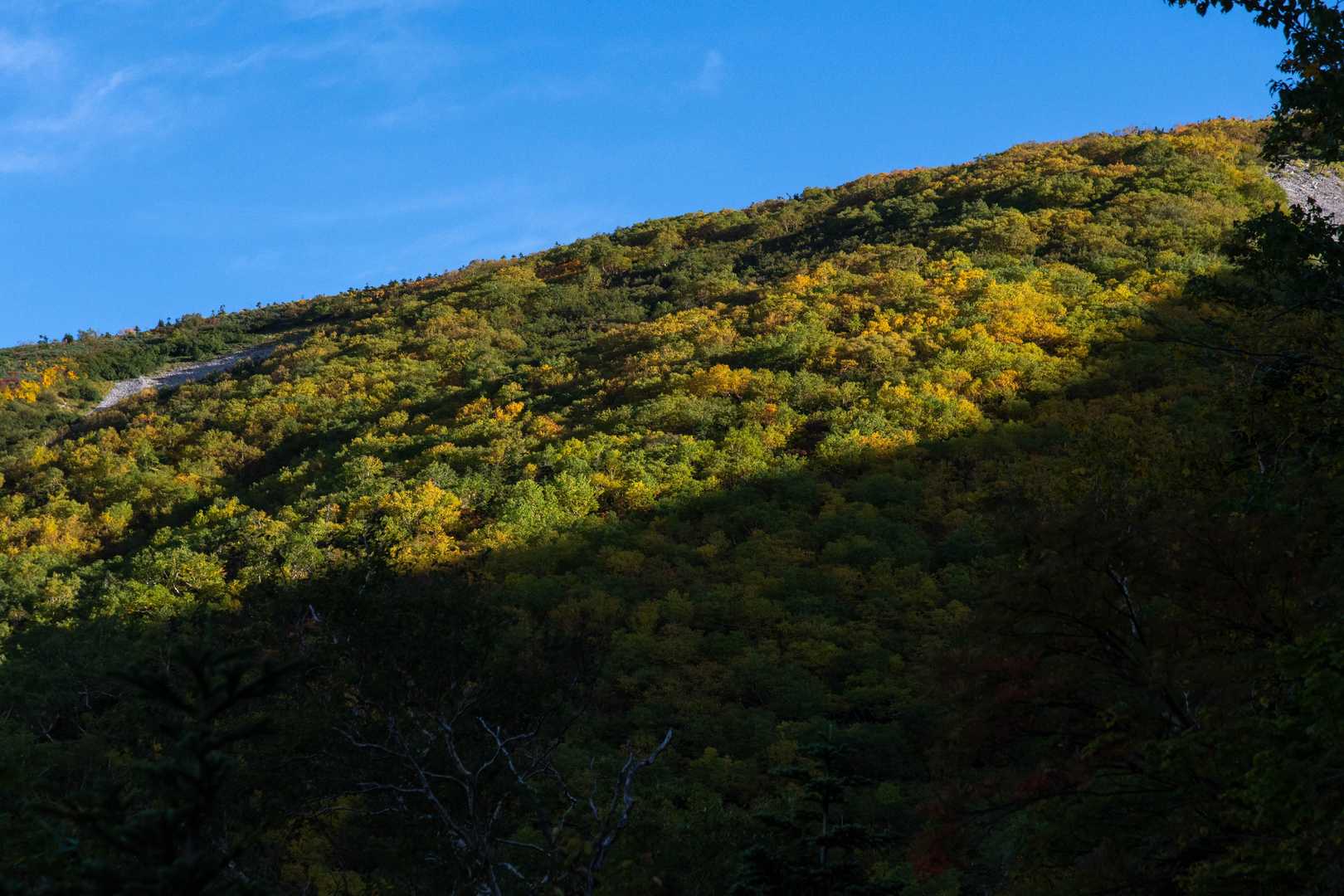 陽に照らされ、山肌の紅葉も色めく