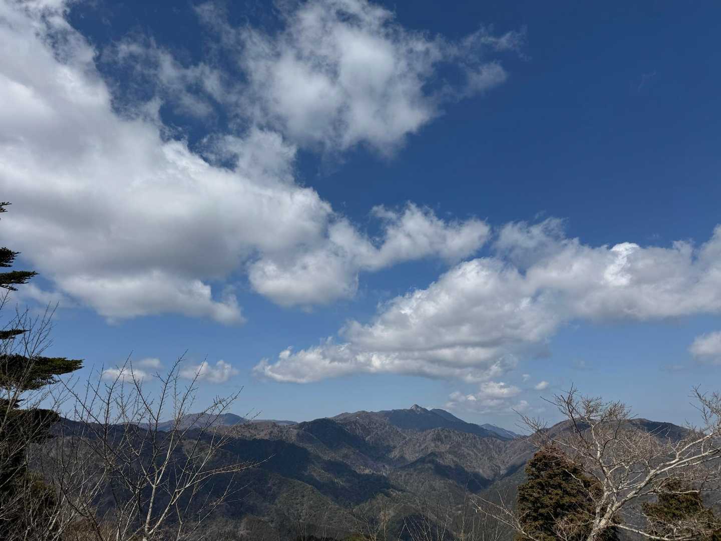 坂本棚田バス停-野登山 往復コースの写真