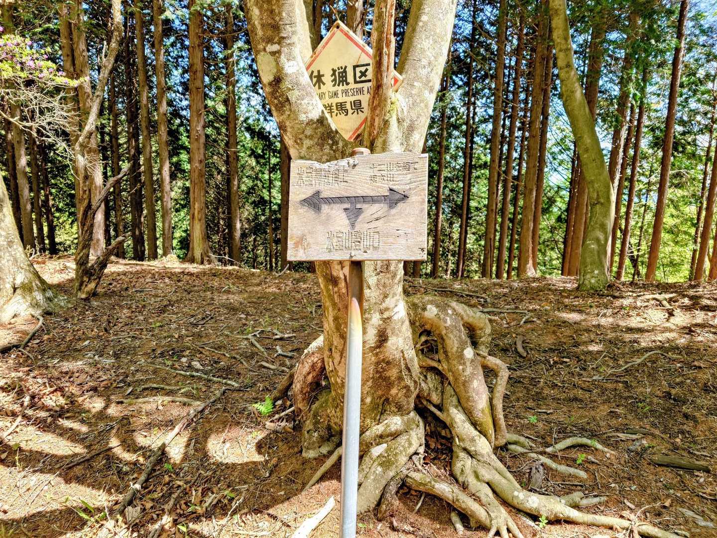 分岐、ちょっと道間違えた💧