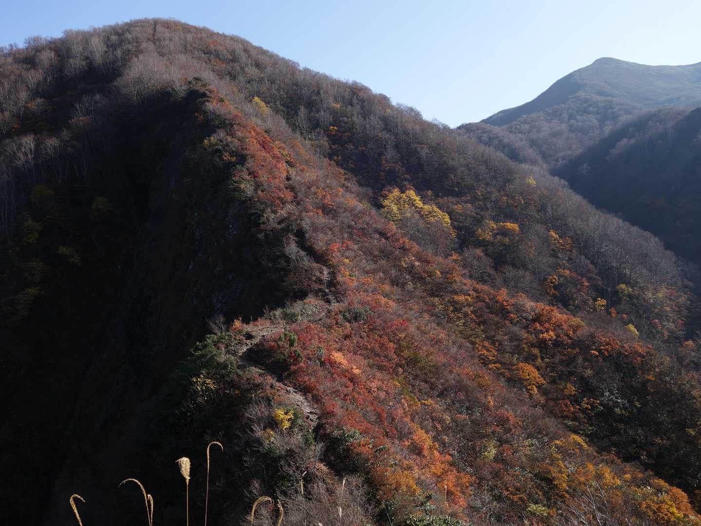 小屋のある砥沢峰と北峰