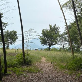 梅津寺からロード歩き
西港山に到着　
見晴らし最高のこの場所
生憎の曇りで少し残念😢