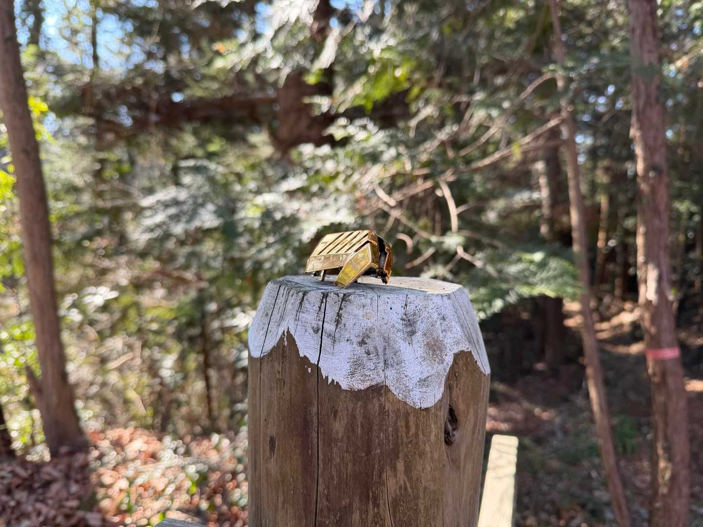 一瞬、金のクロスケかと思った🤣