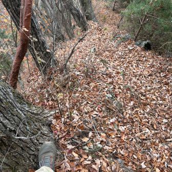 高塚山方面へ。歩き難い…