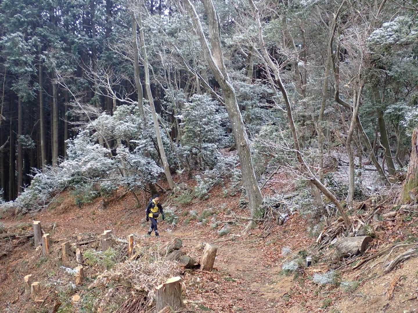 積むことが、健康な体を