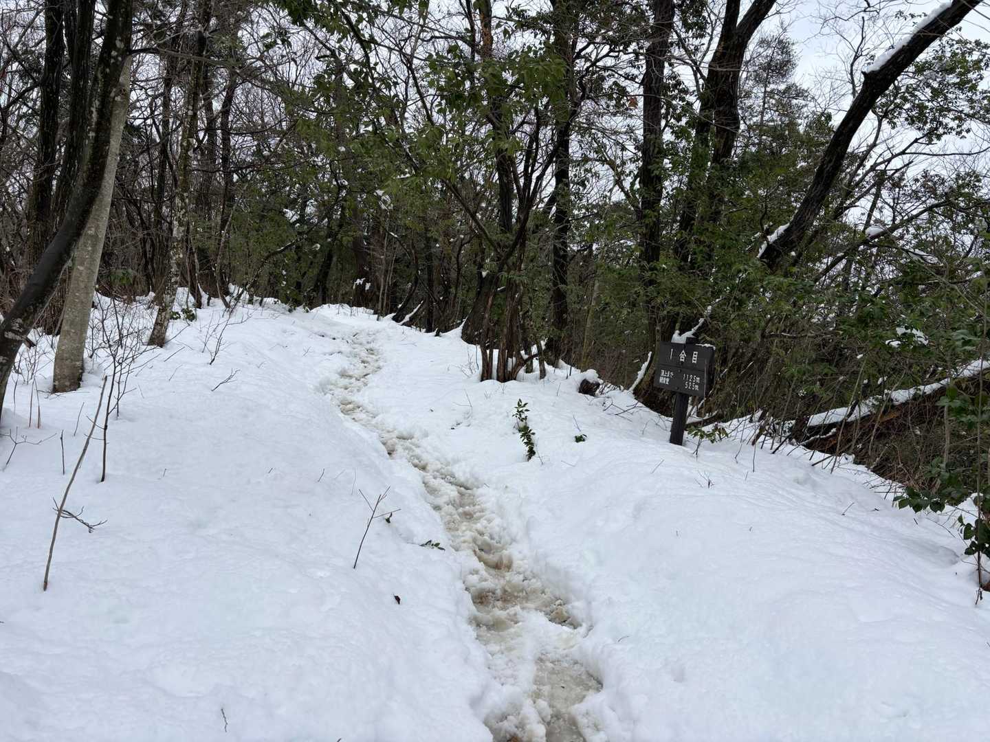 昨日の雪でモフモフですがトレースばっちり