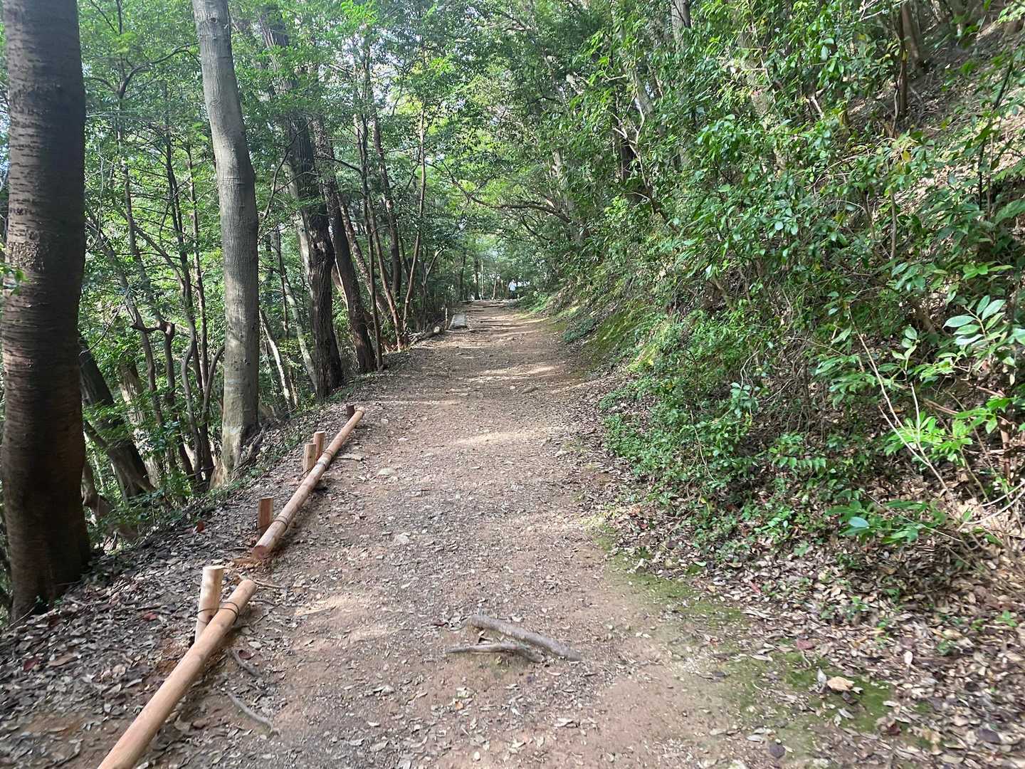 最高だわ。
これが永遠に続けばいいのになぁw