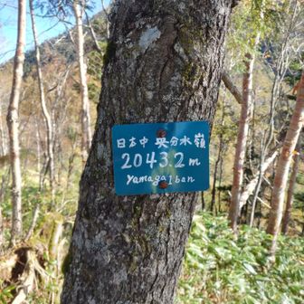 ここも中央分水嶺