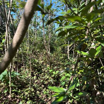 それともここかな？
山頂にはたどり着けていなかった