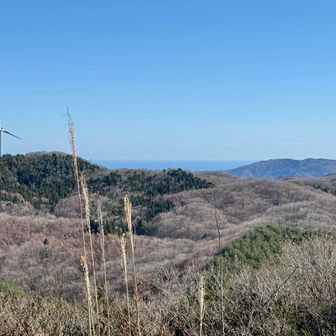 太平洋も見えました