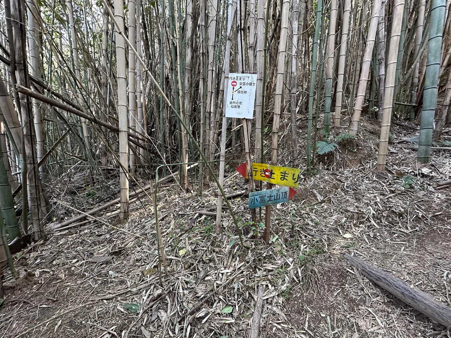 分かりやすい！