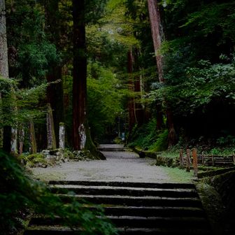 凛とした雰囲気