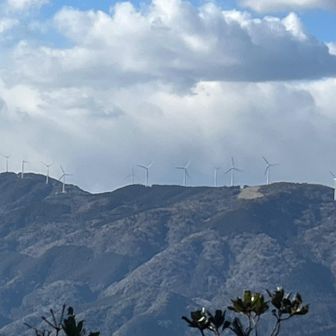 こんなに強風なのに風車は回っていないのも
見てると回って来るから止めてあるのではなさそう