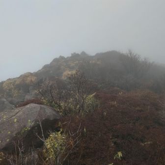 あれが頂上かと思ったが、あそこからまだまだ
