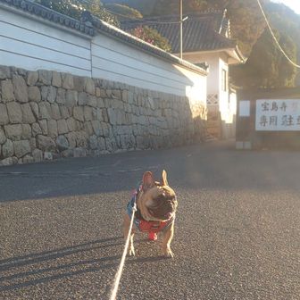去年も登り初めは大平山だったね
いつも北側からあがるけど今回は南側から行ってみよう！