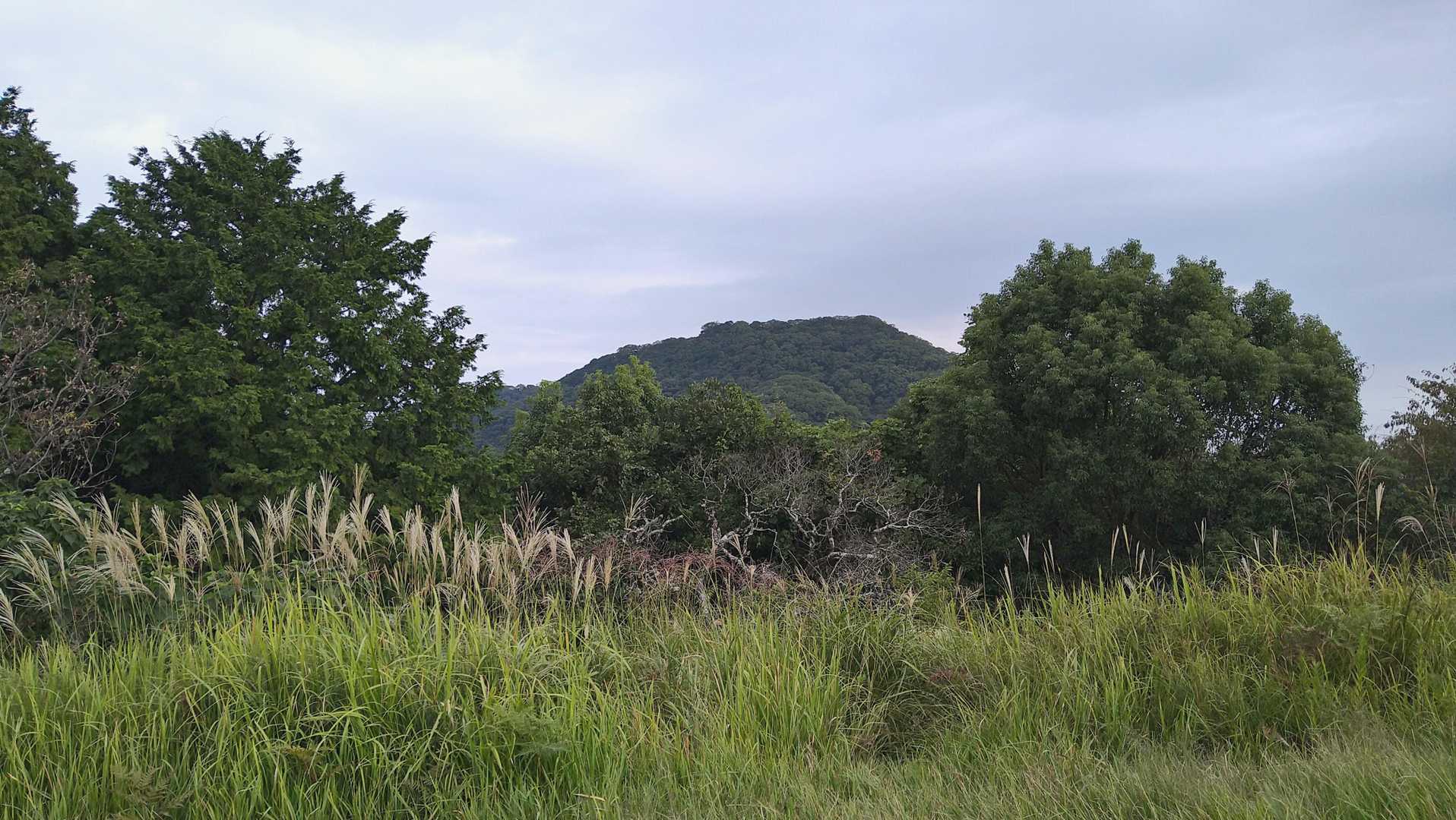 立花山山頂方面。
このまま行けそうな気がしますが無理は禁物。
今日はこのまま下山します。