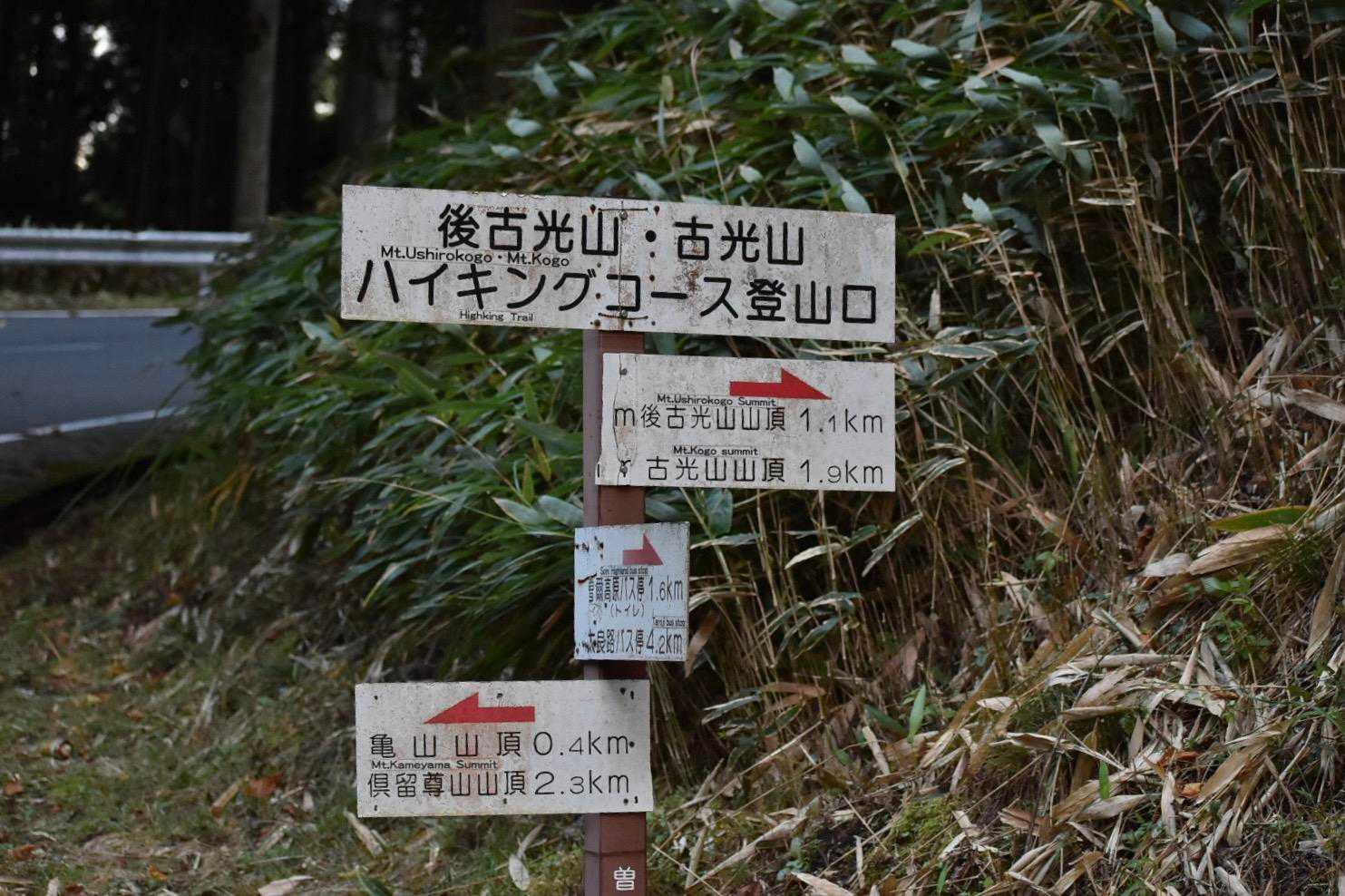 最初はロードを歩き、登山口へ。わあ、ハイキングコースだ。