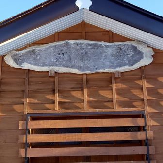 冬囲いで中は入れません！