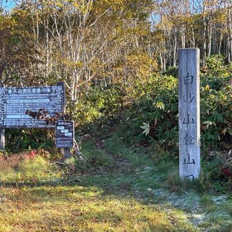 駐車場の端に登山口