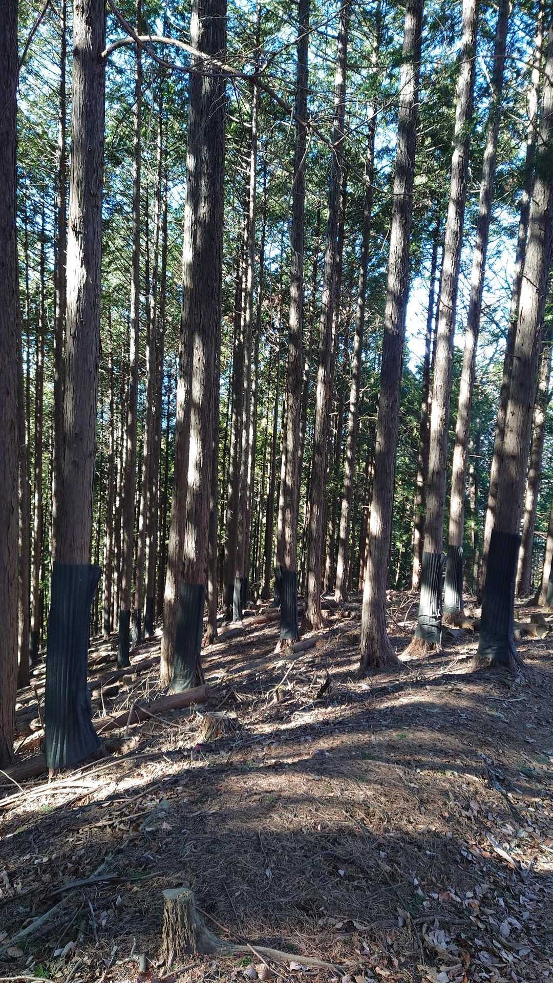平坦な道は幸せを感じます💕